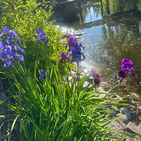 Rychertowka Séjour chez l'habitant Grzebieniec