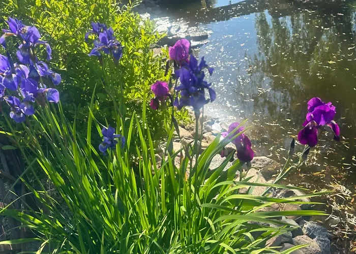 Rychertowka Homestay Grzebieniec